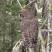 Steven Holt Photo 42