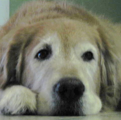 Kathleen Logan Photo 16