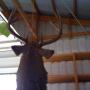 Sam Brunner Photo 25