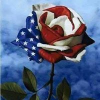 Michelle Sutherland Photo 17