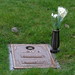 Larry Graves Photo 45