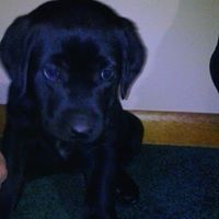 Stacy Westerman Photo 9