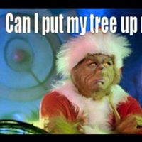 Laura Albright Photo 38 Laura Albright Photo 38