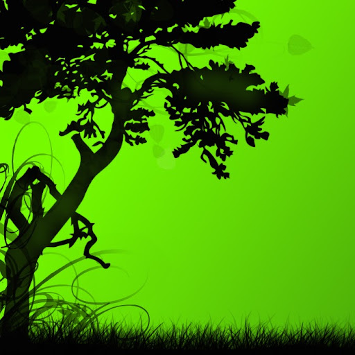 Scott Abrahamson Photo 9