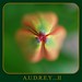 Audrey Little Photo 19