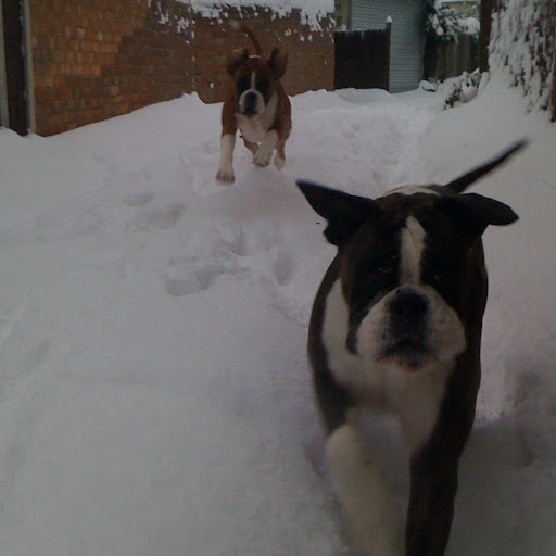 Lewis Simpson Photo 10 Lewis Simpson Photo 10