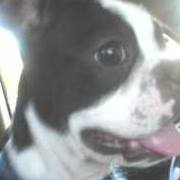 Barbara Workman Photo 35