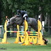 Jose Alarcon Photo 35