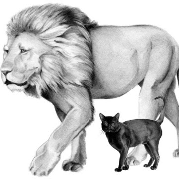 Jaime Ramirez Photo 14