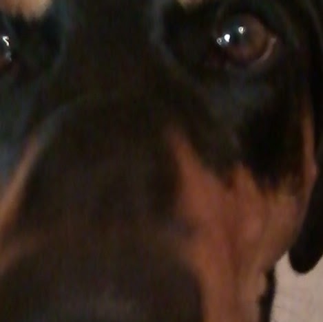 Renee Morton Photo 1