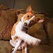 Staci Good Photo 4