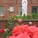Lawrence Rose Photo 16