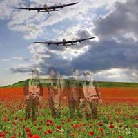 Celia Harris Photo 12