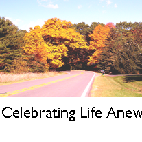 Renee Truitt Photo 3