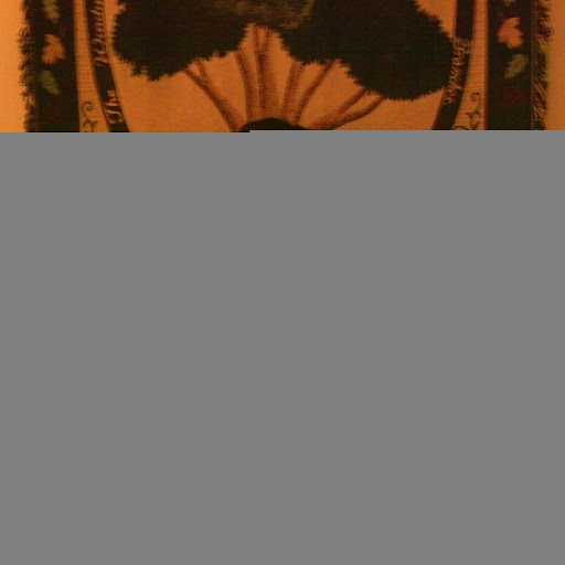 Janelle Ireland Photo 9