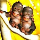 Spencer Robbins Photo 9