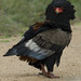 Michael Potts Photo 45