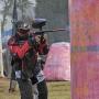 Chris Coley Photo 4