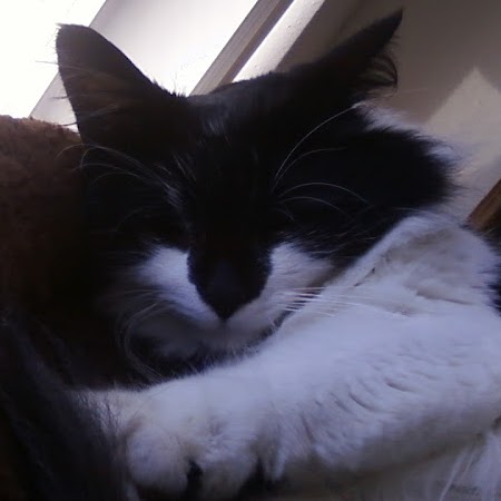 Stacey Berger Photo 14