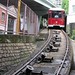 Hong Chin Photo 12