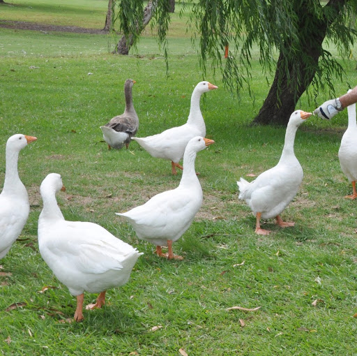 David Mcduff Photo 17