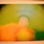 Graciela Torres Photo 21