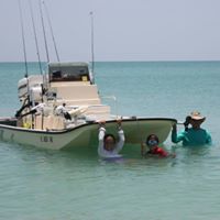 Andrea Long Photo 41