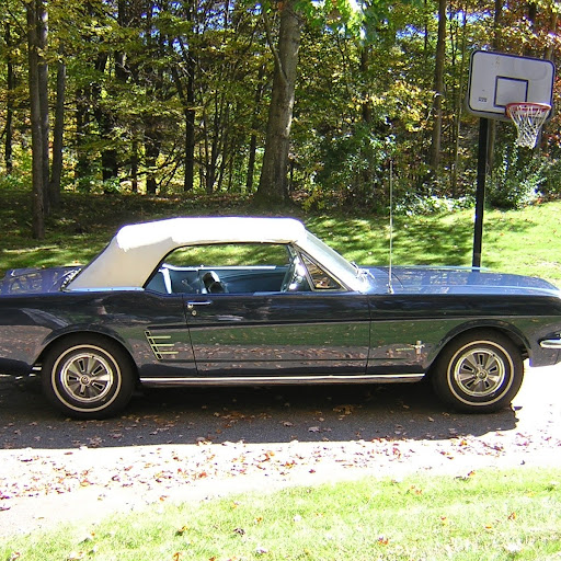 Mark Hamlin Photo 20