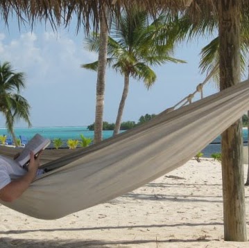 William Shea Photo 38