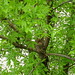 Robin Hatch Photo 36