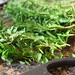 Rosemary Winters Photo 22
