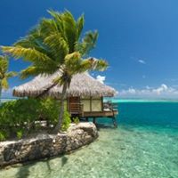 Sandra Hampton Photo 9