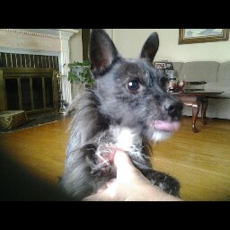 Teresa Cole Photo 40