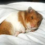 Charlotte Green Photo 20