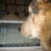 Jack Eng Photo 7