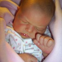 Laurie Knutson Photo 16