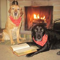 Jay Nichols Photo 2 Jay Nichols Photo 2