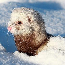 Julia Stout Photo 31