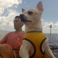 John Mattei Photo 17