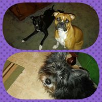 Penny Schaaf Photo 6