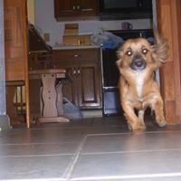 Joseph Valenti Photo 16