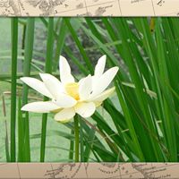 Sandra Bruce Photo 19