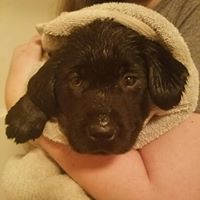 Lisa Richter Photo 25