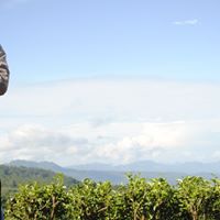 Samuel Hard Photo 13