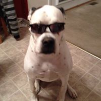 Anthony Cheek Photo 7