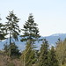 Elizabeth Lusher Photo 7