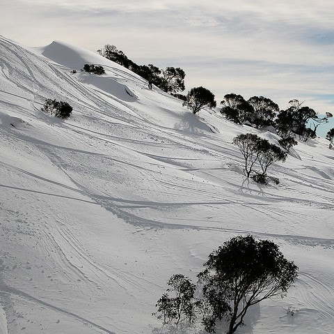 Peter Crooks Photo 24