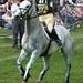Sarah Healey Photo 39