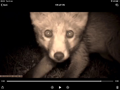 David Hancock Photo 20