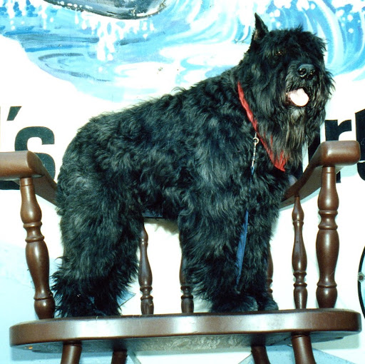 Ann Stewart Photo 32